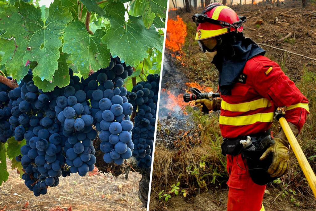 El drama de los incendios en Ourense es doble porque amenaza directamente a uno de sus grandes negocios: el vino